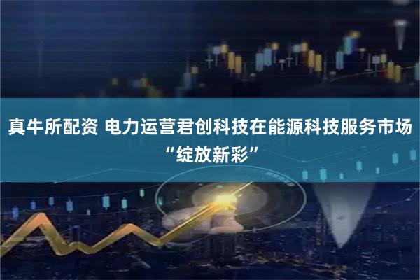 真牛所配资 电力运营君创科技在能源科技服务市场“绽放新彩”