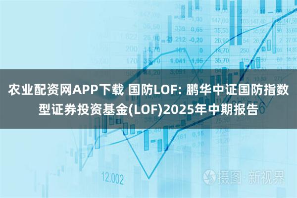 农业配资网APP下载 国防LOF: 鹏华中证国防指数型证券投资基金(LOF)2025年中期报告